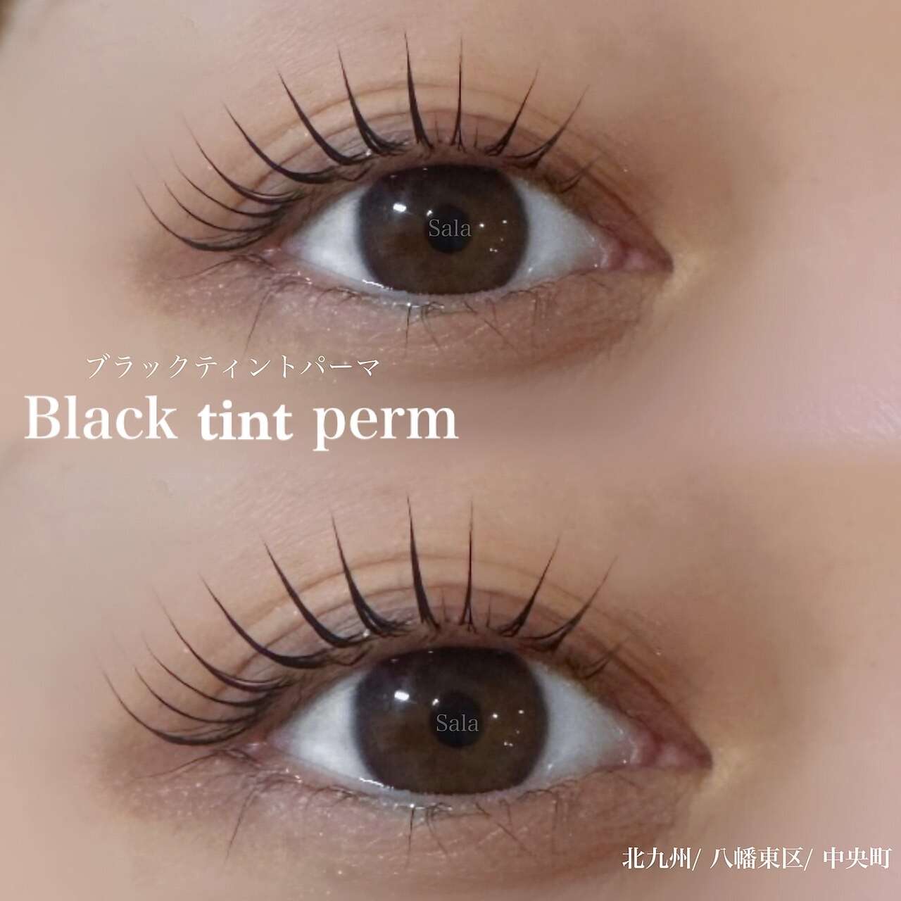 ブラックティントまつ毛パーマ✨ | ブログ | 北九州でエステならTOTAL